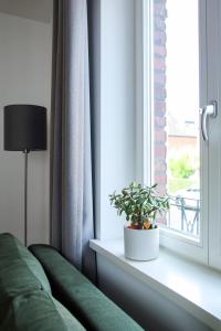 a green couch sitting next to a window with a plant at Green46 in Meerbusch