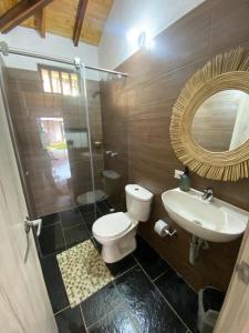 a bathroom with a toilet and a sink and a mirror at FINCA VILLA CRISTINA in La Fuente