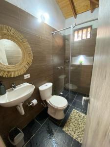 een badkamer met een toilet, een wastafel en een spiegel bij FINCA VILLA CRISTINA in La Fuente