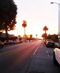 Une rue avec des voitures garées et des palmiers. dans l'établissement Pineapple Hostel, à Los Angeles