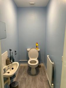 a bathroom with a white toilet and a sink at The annex in Bradninch
