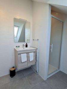 ein Bad mit einem Waschbecken, einem Spiegel und einer Dusche in der Unterkunft Appartement avec vue in Fougères
