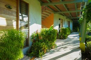 een veranda van een gebouw met planten en een houten plafond bij Hotel Sol Sámara in Sámara