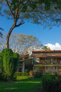 a house with a tree in front of it at Hotel Sol Sámara in Sámara