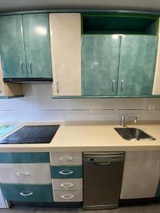 a kitchen with green cabinets and a sink at APARTAMENTO GOR in Granada