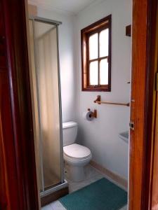 a bathroom with a toilet and a glass shower at Cabañas Los Bajos in Frutillar