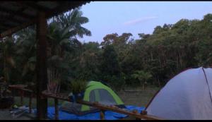 dwa namioty na pokładzie z drzewami w tle w obiekcie CATEDRAL THE ROCK CAMPING w mieście Presidente Figueiredo