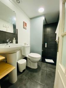 La salle de bains est pourvue de toilettes blanches et d'un lavabo. dans l'établissement Vacacionales Vegueta, à Las Palmas de Gran Canaria