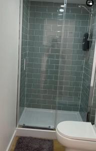 a bathroom with a glass shower with a toilet at Segais Accommodation in Grove