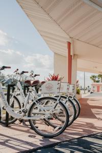 a row of white bikes parked next to a building at The Local - St. Augustine in Saint Augustine