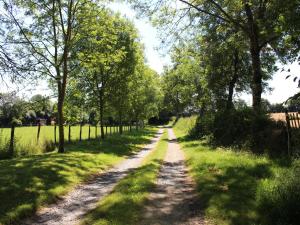 un camino de tierra con árboles a ambos lados en Gîte Berfay, 3 pièces, 6 personnes - FR-1-410-242, en Berfay