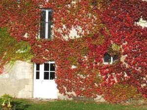 un edificio cubierto de hiedra roja con una puerta blanca en Gîte Ouzouer-sur-Trézée, 4 pièces, 8 personnes - FR-1-590-383, en Ouzouer-sur-Trézée