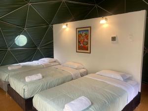 2 camas en una habitación con una pared verde en Sky Lodge Domes Loreta Playa Sahuayaco en Sahuayacu