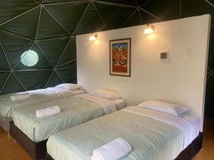 SahuayacuにあるSky Lodge Domes Loreta Playa Sahuayacoの緑の壁の客室で、ツインベッド2台が備わります。