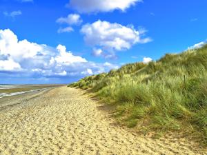 a sandy beach with a grassy hill next to the ocean at Sunny Prestatyn Apartment in Prestatyn