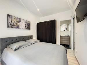 a bedroom with a large bed and a television at Escapades Ensoleillées in Nice