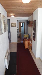 a hallway with a living room with a rug at TRIXI´S GUESTHOUSE in Hřensko