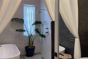 Beautiful artist's suite w full bath kitchenettte في توسان: حمام فيه مرحاض وزرع فيه