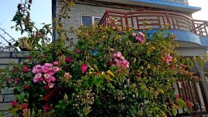 Zahrada ubytování Hotel Himalayan Home Lamagaun Pokhara 10 minute drive from tourist place lakeside rent Rooms