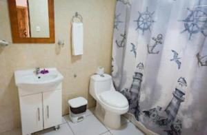 ein Badezimmer mit einem Waschbecken, einem WC und einem Duschvorhang in der Unterkunft Hostal Tu'u Koihu in Hanga Roa