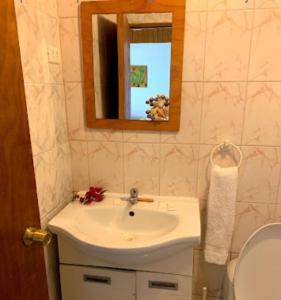 ein Badezimmer mit einem Waschbecken, einem Spiegel und einem WC in der Unterkunft Hostal Tu'u Koihu in Hanga Roa