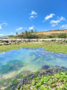 Photo de la galerie de l'établissement Pousada Paraíso das Tartarugas, à Pipa