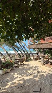 um grupo de bancos e árvores na praia em Pousada Paraíso das Tartarugas em Pipa