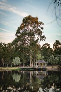 a gazebo on a lake with a large tree at Forest Rise Chalets and Lodge in Metricup