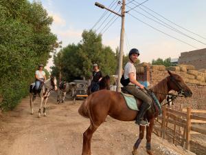a group of people riding horses on a dirt road at Nile Panorama Hotel in Luxor