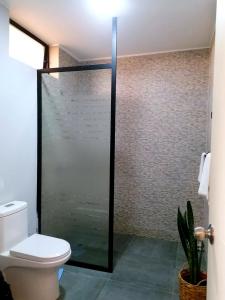 a bathroom with a toilet and a glass shower at Hotel Sol de Ocucaje in Ica