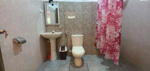 シギリヤにあるSMW Lodge Sigiriyaのバスルーム(白いトイレ、シンク付)