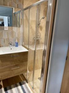 a bathroom with a shower and a sink at Micro maison Lyon 8/ Parking / Terrain de pétanque in Bron