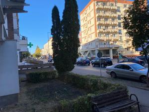 a tree on the side of a street with a bench at Apartament SUN in Drăgăşani