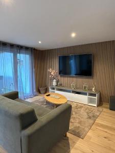 Televízia a/alebo spoločenská miestnosť v ubytovaní Sinalospa - Cosalà appartemement Sauna Jacuzzi Grande terrasse à 5 minutes de Nancy Place Stanislas