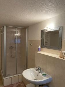 a bathroom with a shower and a sink and a mirror at Klein und fein - fußläufig zum Strand in Kalkhorst