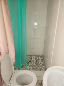 a bathroom with a toilet and a shower with a blue curtain at HUNTERS NEST GUEST HOUSE MAFIKENG in Mahikeng