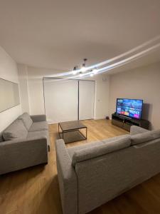メイヌースにあるPrivate room in a new shared apartmentのリビングルーム(ソファ2台、薄型テレビ付)
