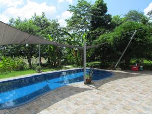 Bazén v ubytování Sunrise Island Homestay nebo v jeho okolí