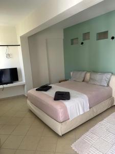ein Schlafzimmer mit einem großen Bett und einem Flachbild-TV in der Unterkunft Home 4U apt1, just 7km from airport in Markopoulo