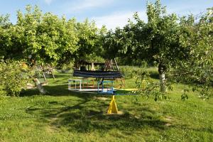 einen Spielplatz inmitten eines Apfelbaums in der Unterkunft Włóczykijówka in Jarnołtówek
