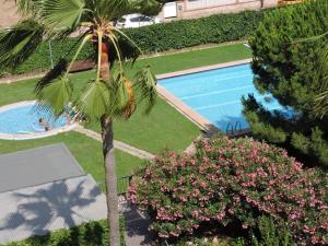 uma vista sobre uma palmeira e uma piscina em doree 224 em Cambrils