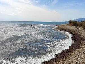 uma praia com um corpo de água com ondas em doree 224 em Cambrils