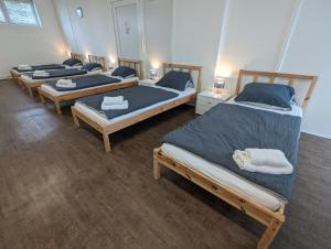Voodi või voodid majutusasutuse Spacious apartment in Asten perfect for long stays toas