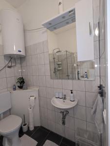 Vannituba majutusasutuses Spacious apartment in Asten perfect for long stays