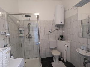 ein Bad mit einer Dusche, einem WC und einem Waschbecken in der Unterkunft Spacious apartment in Asten perfect for long stays in Asten