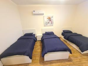 2 Betten in einem Zimmer mit blauen Kissen in der Unterkunft Zoom Chalets in Amman