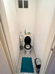 ein kleines Bad mit einem WC und einem grünen Teppich in der Unterkunft Wohnung Nähe LKH und der Med Uni in Graz