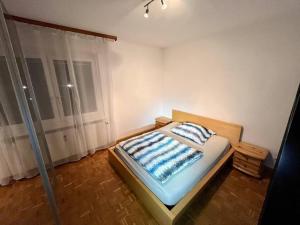 ein Schlafzimmer mit einem Bett in einem Zimmer mit einem Fenster in der Unterkunft Wohnung Nähe LKH und der Med Uni in Graz