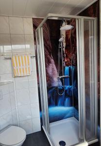 a shower in a bathroom with a toilet at Gästehaus Nietmann_ Ferienwohnung 6 in Altenau +17 photos