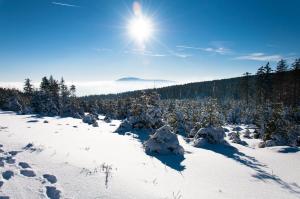 Haus Nietmann_ Ferienwohnung 2 v zimě + 7 fotografií